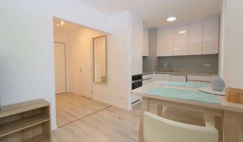 SALE- Cozy and Modern 1-Room Apartment. in the Stein 2 Development