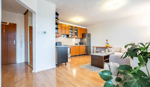 Sale One bedroom apartment, One bedroom apartment, Juraja Slottu, Trna