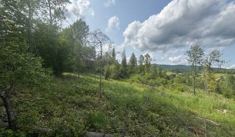 Sale Recreational land, Recreational land, Raková, Čadca, Slovakia