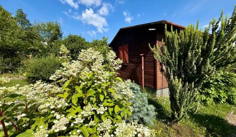 Sale Cottage, Cottage, Žilina, Slovakia