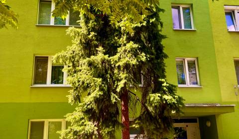 Sale Three bedroom apartment, Three bedroom apartment, Špačinská cesta