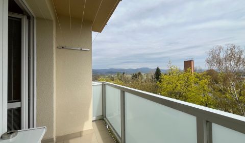 Rent One bedroom apartment, One bedroom apartment, Centrum I, Ilava, S