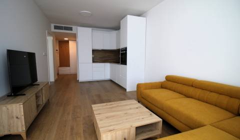 Rent One bedroom apartment, One bedroom apartment, Tomášikova, Bratisl
