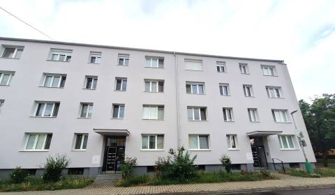 Sale One bedroom apartment, One bedroom apartment, Za hradbami, Pezino