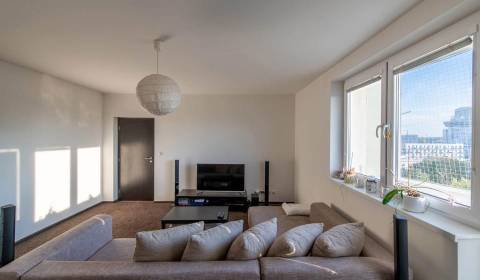 Sublease One bedroom apartment, One bedroom apartment, Bratislava - Ru