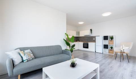 Rent One bedroom apartment, One bedroom apartment, Veľkomoravská, Tren