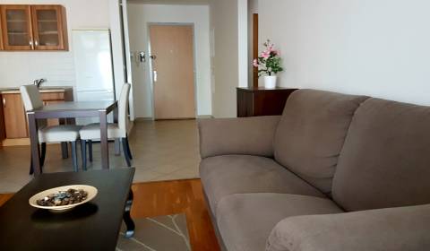 Rent One bedroom apartment, One bedroom apartment, Ružová dolina, Brat
