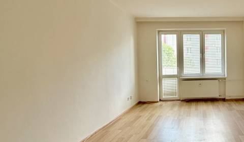 Sale One bedroom apartment, One bedroom apartment, Špačinská cesta, Tr