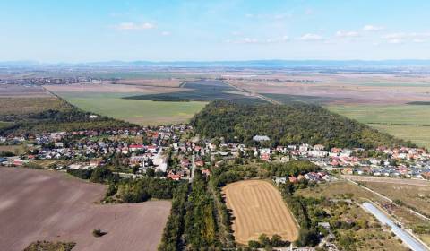 Sale Agrarian and forest land, Agrarian and forest land, Dunajská Stre