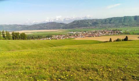 Sale Agrarian and forest land, Agrarian and forest land, Poprad, Slova