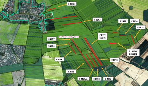 Sale Agrarian and forest land, Agrarian and forest land, Pezinok, Slov