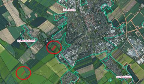 Sale Agrarian and forest land, Agrarian and forest land, Trnava, Slova