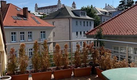 Sale Four+ bedroom apartment, Four+ bedroom apartment, Dankovského, Br