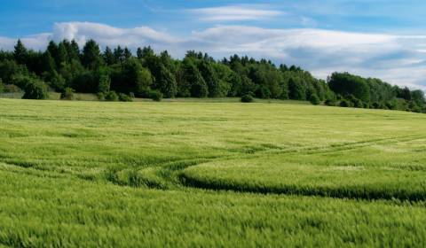 Sale Agrarian and forest land, Agrarian and forest land, Revúca, Slova