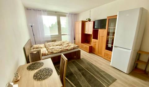 Rent Single studio, Single studio, Hollého, Senica, Slovakia
