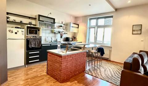 Spacious 1-Bedroom Apartment with Fireplace – City Center (Vodná St.)