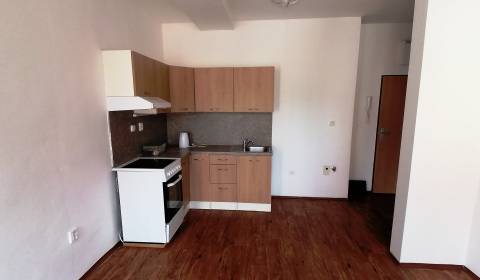 Rent One bedroom apartment, One bedroom apartment, Nábrežná, Martin, S
