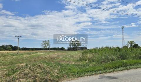 Sale Agrarian and forest land, Galanta, Slovakia