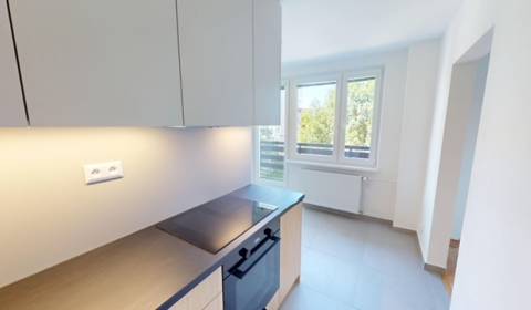 Rent One bedroom apartment, One bedroom apartment, Centrum I., Ilava, 