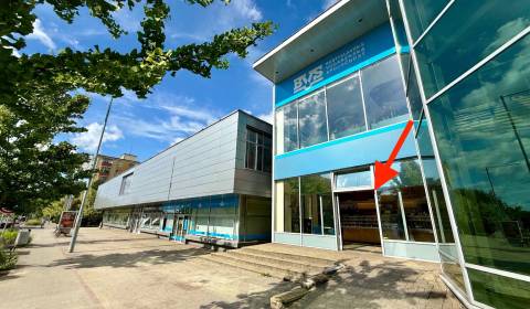 Rent Commercial premises, Commercial premises, Hurbanova, Senica, Slov
