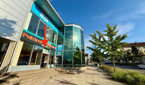 Rent Commercial premises, Commercial premises, Hurbanova, Senica, Slov