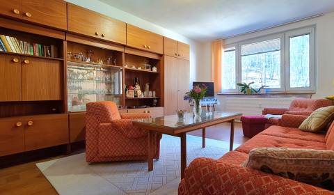 Sale Two bedroom apartment, Two bedroom apartment, Žiar nad Hronom, Sl