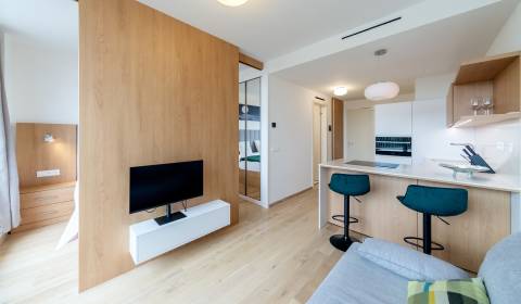 Amazing, design 1,5room apt 30m2, loggia 7m2 with river view, VYDRICA