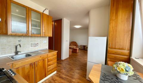 Rent One bedroom apartment, One bedroom apartment, Gen. Svobodu, Trenč