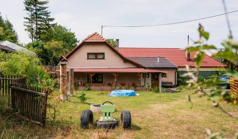 Sale Family house, Family house, Nové Mesto nad Váhom, Slovakia