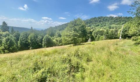 Sale Land – for living, Land – for living, Dedovka, Čadca, Slovakia