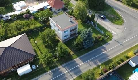 Sale Family house, Family house, Rakoľuby, Nové Mesto nad Váhom, Slova