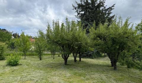 Sale Land – for living, Land – for living, Zlaté Moravce, Slovakia