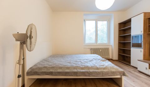 Furnished 1-room apartment in the Old Town