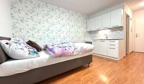 Sale Single studio, Single studio, Guothova, Bratislava - Nové Mesto,