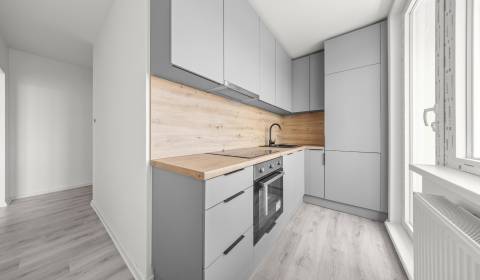 Sale One bedroom apartment, One bedroom apartment, Svätoplukova, Pezin