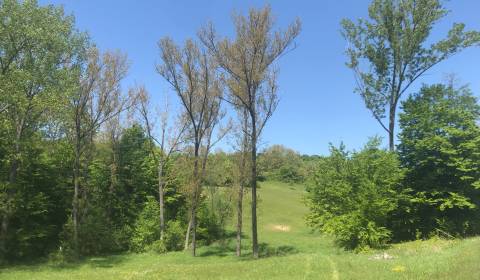 Sale Recreational land, Recreational land, Veľký Krtíš, Slovakia