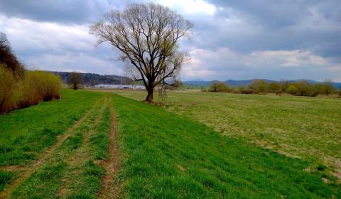 Sale Agrarian and forest land, Agrarian and forest land, Humenné, Slov