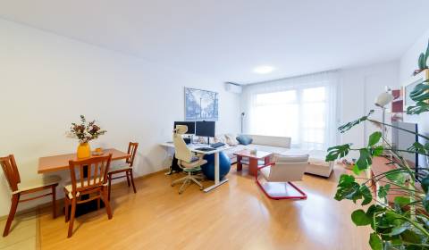 Nice 1bdr apt 58m2, A/C, balcony, cellar and possibility of parking