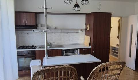 Rent One bedroom apartment, One bedroom apartment, Južná Trieda, Košic