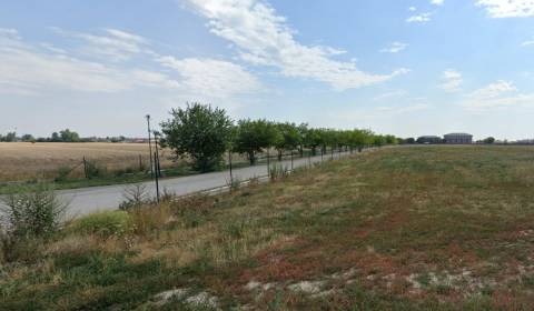 Sale Building, Building, Bratislava - Ružinov, Slovakia
