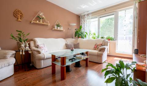 Sale Two bedroom apartment, Two bedroom apartment, Sad duklianskych hr