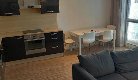 Rent One bedroom apartment, One bedroom apartment, Bratislava - Dúbrav