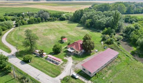 Sale Family house, Family house, Komárno, Slovakia