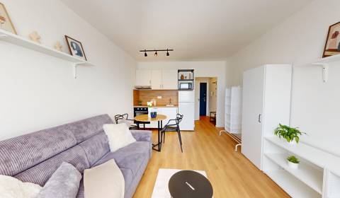Rent Single studio, Single studio, L.Novomeského, Senica, Slovakia