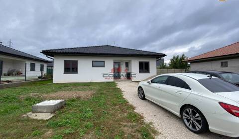 Sale Family house, Family house, Nové Mesto nad Váhom, Nové Mesto nad