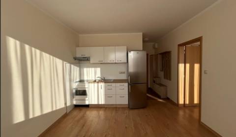 Sale One bedroom apartment, One bedroom apartment, Suvorovova, Pezinok