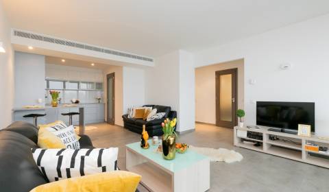 One bedroom apartment, Pribinova, Rent, Bratislava - Staré Mesto, Slov