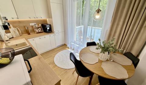 Rent One bedroom apartment, One bedroom apartment, Antona Bernoláka, Ž