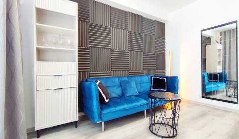 Rent One bedroom apartment, One bedroom apartment, K výstavisku, Trenč