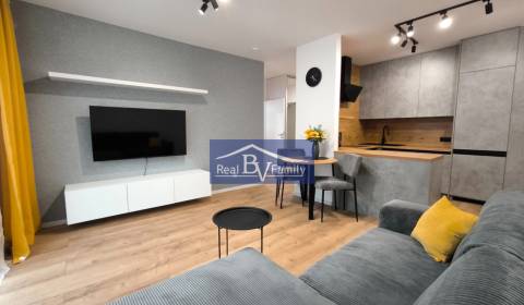 Rent One bedroom apartment, One bedroom apartment, Ivanská cesta, Brat